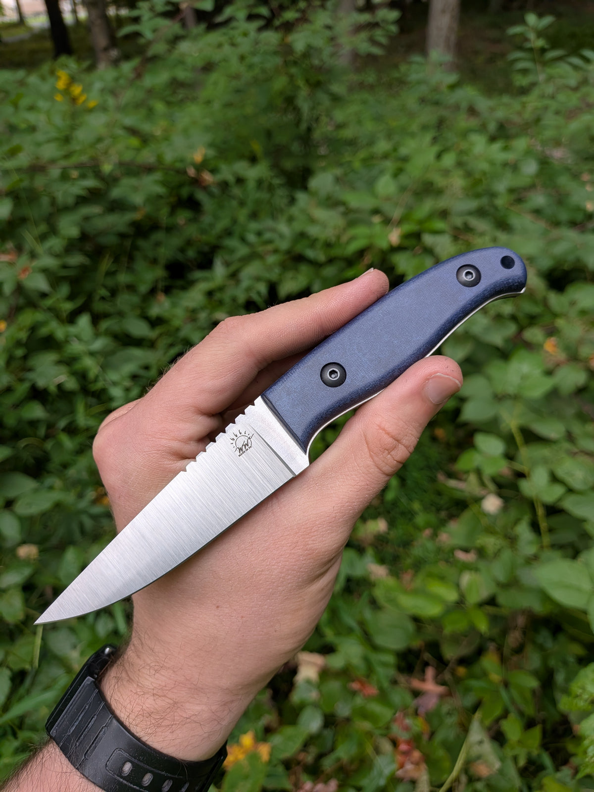 Aspen (V2)