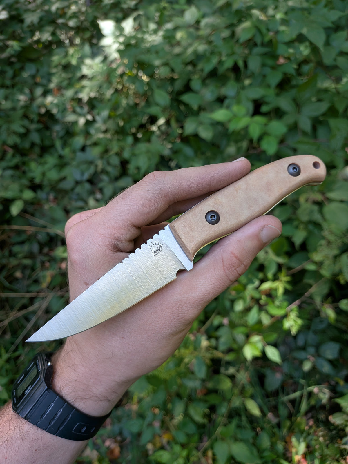 Aspen (V2)